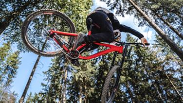 Image for: Day ticket