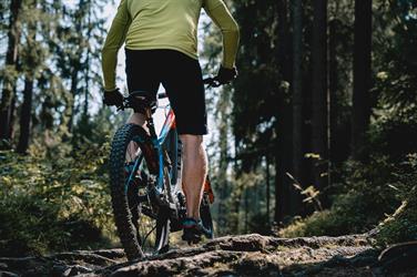 Image for: TRAIL TICKET