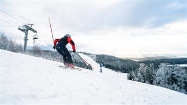 Image for: 4 STUNDEN