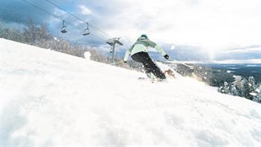 Image for: Tageskarten