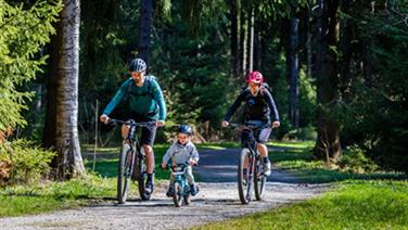 Image for: FAMILIENKARTE 4 STD (2E+1K) SO